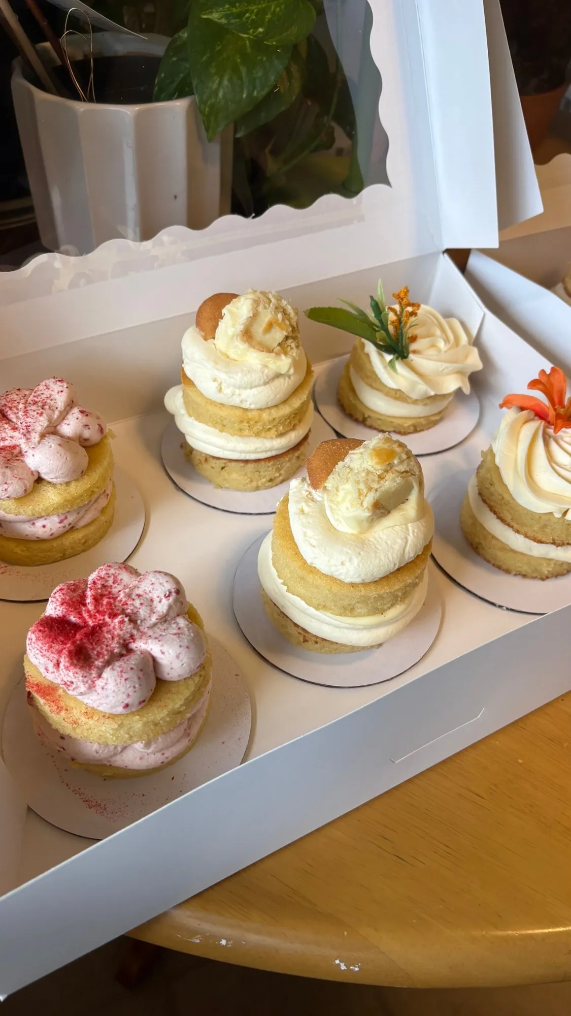 Box of mini layer cakes with banana pudding, raspberry, and vanilla buttercream toppings